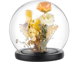 Glazen Display Koepel - Decoratieve Klok Stolp - Bloemen Opslag - Met Houten Sokkel - 15 cm - Transparant