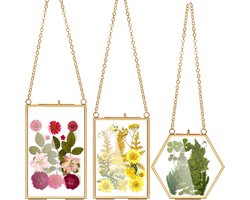 Glazen fotolijsten - Hangende frames - Decoratie ophangen - Set van drie - Verschillende maten - Messing goud