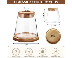 Glazen hydrocultuur plantenvazen - set van 2 - met voet en kurk - transparant