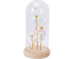 Glazen Koepel Decoratie - Rozen Ornament - Romantisch Cadeau - Met LED Licht - 24 x 13 x 13 cm