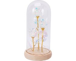Glazen Koepel Decoratie - Rozen Ornament - Romantisch Cadeau - Met LED Licht - 24 x 13 x 13 cm
