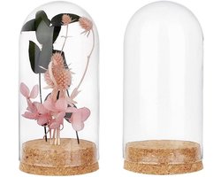 Glazen Koepel Display - Glazen Klok - Decoratief Presenteren - Met Kurken Basis - 6.4x13.2cm - Helder