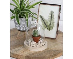 Glazen koepel met houten basisvoet Ø 10 cm en 10 cm hoog (1 st)