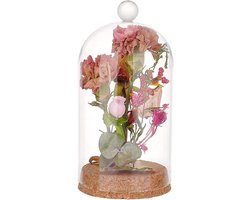 Glazen Koepel - Stolp met voet - Decoratie Presenteren - Beschermt tegen stof - 9x177 cm - Transparant