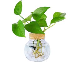 Glazen mini-vaas - decoratieve fles - 1 stuk - helder - 13 cm