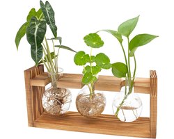 Glazen Plantenvaas met Houten Standaard voor Hydrocultuur en Kamerplanten - 3 Bollen