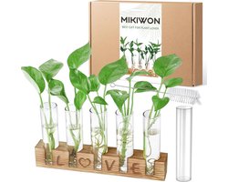 Glazen Plantenvaas met Houten Standaard voor Hydrocultuur en Stekken