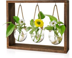 Glazen Plantenvas Houten Standaard voor Luchtplanten Hydrocultuur Decoratie