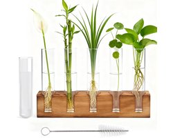 Glazen Proefbuizen met Stand voor Planten, Hydroponics Kweekset met Reinigingsborstel, Decoratie voor Thuis, Kantoor en Keuken