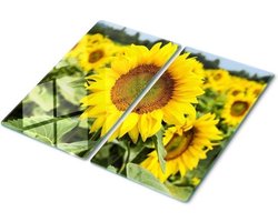 Glazen snijplank - Kookplaatafdekking - Keukenbescherming - Gehard glas - 2x30x52cm - Multicolor