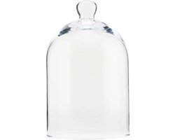 Glazen stolp 20cm