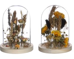 Glazen stolp met droogbloemen naturel Ø10cm (1 st.)