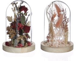 Glazen stolp met droogbloemen roze Ø12cm (1 st.)