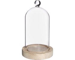 Glazen stolp met glazen knop met houten basis Ø10 h.17 cm (1 st)