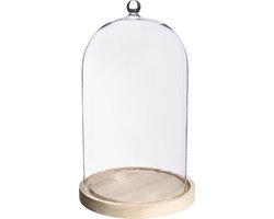 Glazen stolp met glazen knop met houten basis Ø17 h.28 cm (1 st)