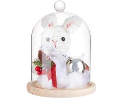 Glazen Stolp met Houten Basis voor Decoratie en Display