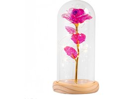 Glazen stolp met houten bodem: 11x15cm transparante bel met houten bodem en lichtketting - decoratieve glazen vitrine voor rozen en poppen