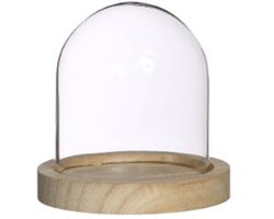 Glazen Stolp met houten voet Ø100 mm H.100 mm - 1 st.