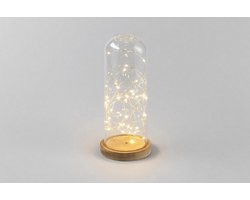 Glazen Stolp met LED Verlichting | Tafellamp | Modern | Glas | Hout | 29 x 12 x 12 cm