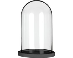 Glazen stolp met zwart houten basis Ø14cm H.21cm (1 st.)