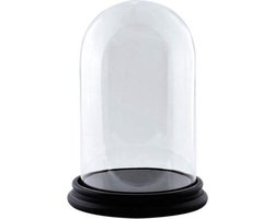 Glazen stolp met zwart houten voet D 22 cm x H 30 cm