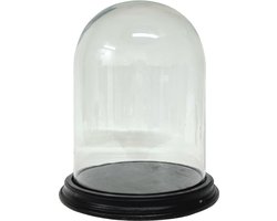 Glazen stolp* met zwart houten voet H 25 cm x D 19 cm