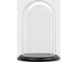 Glazen stolp met zwart houten voet H 25 cm x D 19 cm
