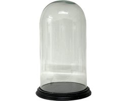 Glazen stolp* met zwart houten voet H 40 cm x D 21 cm