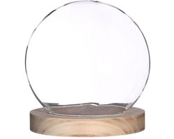 Glazen Stolp Ø18 h.19 cm (1 stuk)