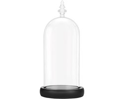 Glazen Stolp Pot met Zwart Houten Basis - 26,5 cm Hoog - Decoratieve Tafeltop Display - Fee Lichten - Kopstukken - Antieke Items