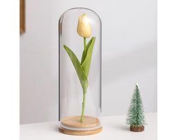 Glazen stolp vitrine - Decoratieve stolp - Stoffen beschermen - Houten basis - 6 x 35cm - Transparant