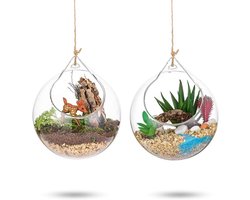 Glazen Terrarium Bol voor Succulenten en Luchtplanten - Set van 2 - 10 cm Hanger voor Thuis, Bruiloften en Tuin Decoratie