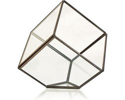 Glazen Terrarium Plant - Vierkant - Kubus - 10.5 x 10.5 x 10.5cm - Bloempot - Terraria