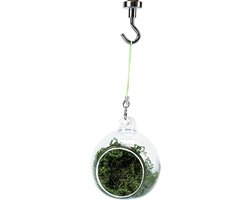 Glazen Terrarium Schuilplaats - Reptielen Hangmat Habitat - Huisdier Verblijf Inrichten - Magnetisch Herpositioneerbaar - 6 cm Diameter - Groen Mos