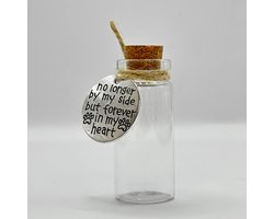 Glazen urn voor overleden huisdier, Pet Memorial Jar, Pet Fur Keepsake, glazen pot voor Pet Memorial vacht of as van hond of kat, Pet Lovers Gifts, Dog/Cat Remembrance, Dog Memorial Gifts