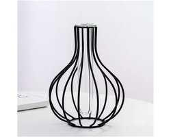 Glazen Vaas - Bloemenhouder Plantenstandaard - Decoratie Huis - Geometrisch Metalen Frame - 1 Gram - Goud