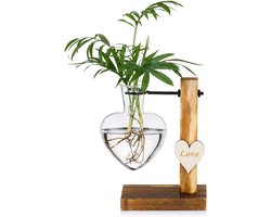 Glazen Vaas met Houten Standaard voor Hydrocultuur en Plantenstekken