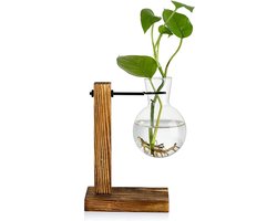 Glazen Vaas met Houten Standaard voor Planten en Bloemen - Desktop Waterkweek Sfeerlamp Design
