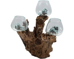 Glazen Vaas Set - Wortelhout Decoratie - Woonkamer Aankleden - Handgemaakt Uniek Stuk - Hoogte 45 cm - Transparant Bruin