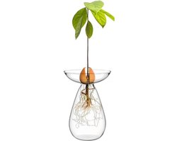 Glazen vaas voor het kweken van avocado-pitten, transparante hydrocultuur bloempot, kweekset voor kleine boompjes – voor interieurdecoratie thuis en op kantoor.