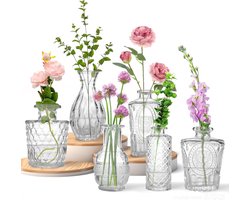 Glazen Vaasjes Set - Mini Vazen - Bloemen Decoratie - Breukbestendig Ontwerp - 6 Stuks - Transparant
