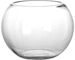 Glazen Vissenkom - Decoratieve Vaas - Planten Water Geven - Moderne Ronde Vorm - 15 x 15 cm - Transparant