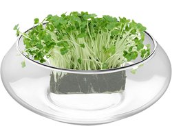Glazen Vissenkom - Hydroponie Pot - Planten Decoratie - Brede Toegang - 28 cm Breed - Helder