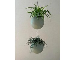 Globee Bloempot Olive