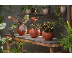 Globee Bloempot Terracotta