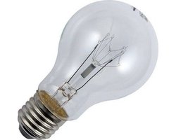 Gloeilamp | Grote fitting E27 | Standaardlamp | Helder | 65mm | 150W