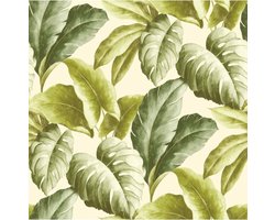 Goedkoop behang BA2401 Frisse Bladeren