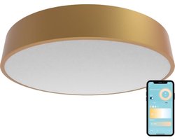 Gologi Slimme Plafondlamp – Plafondlampen – Smart LED RGB – Plafonniere – Industrieel – Slaapkamer & Woonkamer – Ø 30cm – Goud