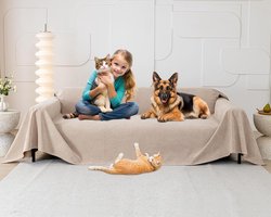 Goodivery ® Beschermhoes voor Bank Tegen Krabben en Vlekken, Waterafstotend en Antislip, Ideaal voor Huisdieren en Kinderen 380 x 180