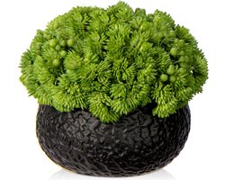 Goodivery ® Levensechte Kunstvetplanten in Stijlvolle Keramische Pot voor Huis en Kantoor